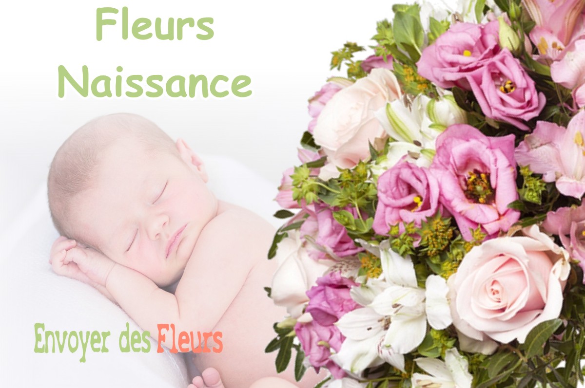 lIVRAISON FLEURS NAISSANCE à MAILHOLAS